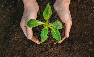 Protección del medio ambiente