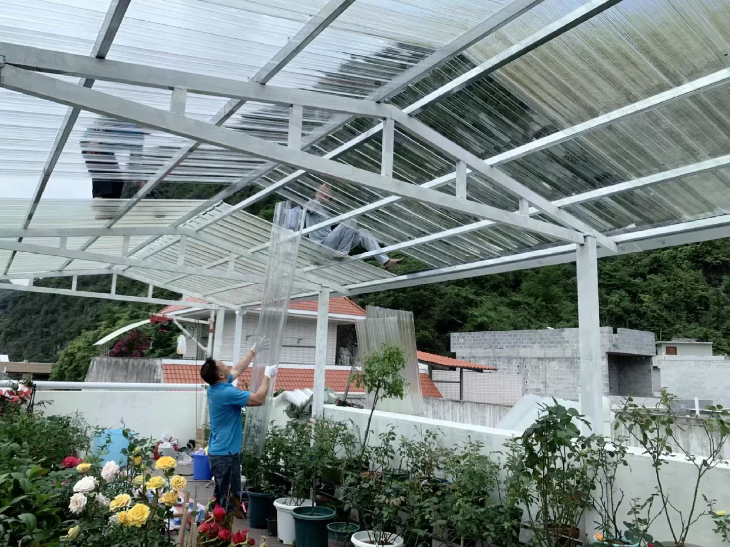 Iluminación de invernaderos de cultivo